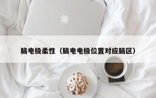 脑电极柔性（脑电电极位置对应脑区）