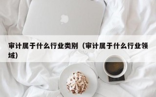 审计属于什么行业类别（审计属于什么行业领域）