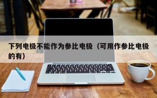 下列电极不能作为参比电极（可用作参比电极的有）