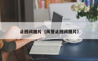 止回阀图片（风管止回阀图片）