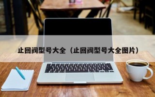 止回阀型号大全（止回阀型号大全图片）