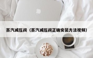 蒸汽减压阀（蒸汽减压阀正确安装方法视频）