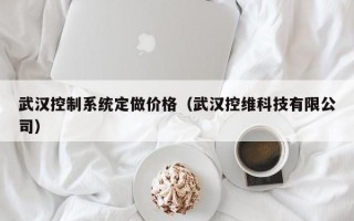 武汉控制系统定做价格（武汉控维科技有限公司）