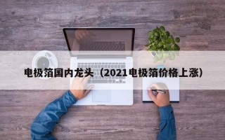 电极箔国内龙头（2021电极箔价格上涨）