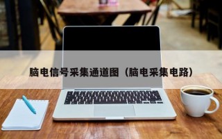 脑电信号采集通道图（脑电采集电路）