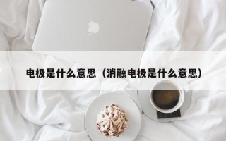 电极是什么意思（消融电极是什么意思）