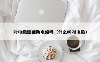 对电级是辅助电级吗（什么叫对电极）