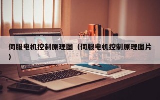 伺服电机控制原理图（伺服电机控制原理图片）