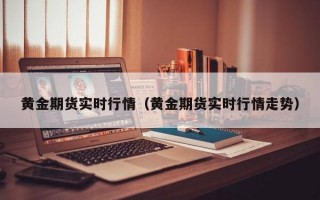 黄金期货实时行情（黄金期货实时行情走势）