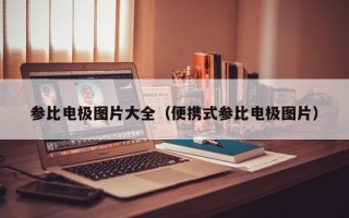 参比电极图片大全（便携式参比电极图片）