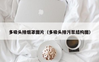 多吸头排烟罩图片（多吸头排污泵结构图）