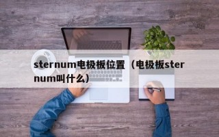 sternum电极板位置（电极板sternum叫什么）