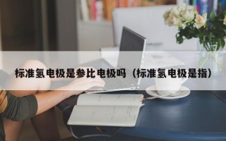 标准氢电极是参比电极吗（标准氢电极是指）