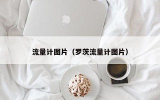 流量计图片（罗茨流量计图片）