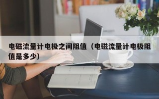 电磁流量计电极之间阻值（电磁流量计电极阻值是多少）