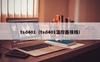 tsd401（tsd401温控器接线）