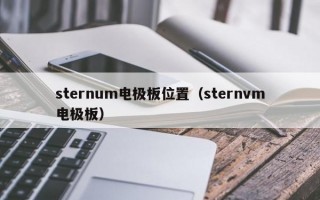 sternum电极板位置（sternvm电极板）