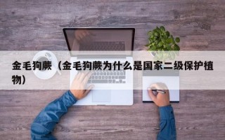 金毛狗蕨（金毛狗蕨为什么是国家二级保护植物）