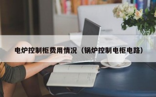 电炉控制柜费用情况（锅炉控制电柜电路）