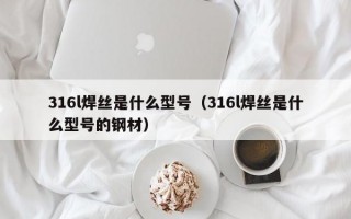 316l焊丝是什么型号（316l焊丝是什么型号的钢材）