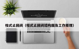 梭式止回阀（梭式止回阀结构图及工作原理）