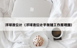 浮球液位计（浮球液位计平衡锤工作原理图）