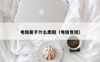 电极属于什么类别（电极包括）