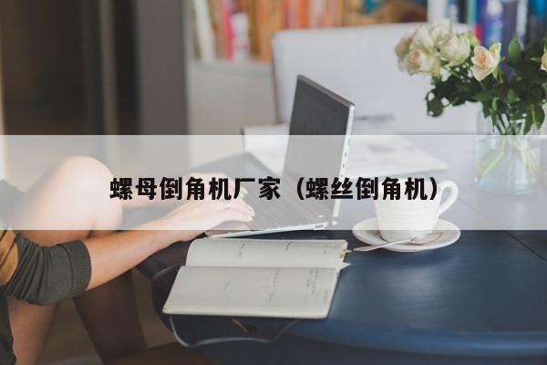 螺母倒角机厂家（螺丝倒角机）-第1张图片-立亚科技