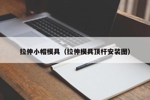 拉伸小帽模具（拉伸模具顶杆安装图）-第1张图片-立亚科技