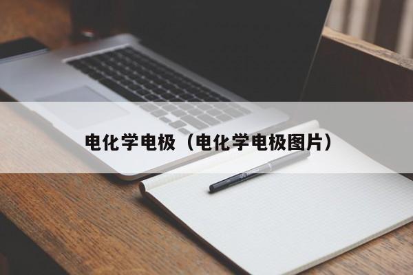 电化学电极（电化学电极图片）-第1张图片-立亚科技