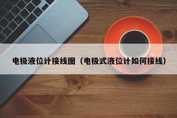 电极液位计接线图（电极式液位计如何接线）-第1张图片-立亚科技