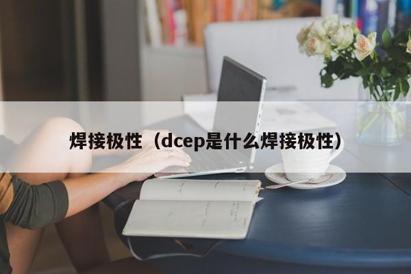 焊接极性（dcep是什么焊接极性）-第1张图片-立亚科技