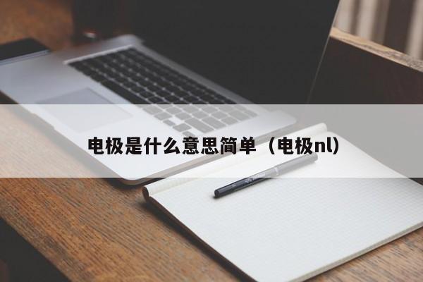 电极是什么意思简单（电极nl）-第1张图片-立亚科技