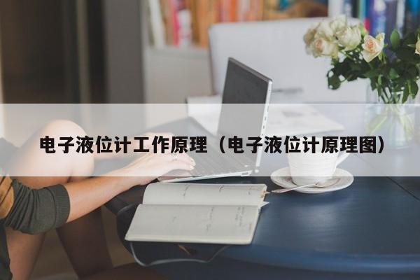 电子液位计工作原理（电子液位计原理图）-第1张图片-立亚科技