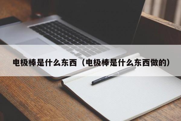 电极棒是什么东西（电极棒是什么东西做的）-第1张图片-立亚科技