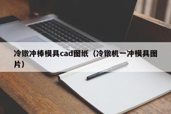 冷镦冲棒模具cad图纸（冷镦机一冲模具图片）-第1张图片-立亚科技