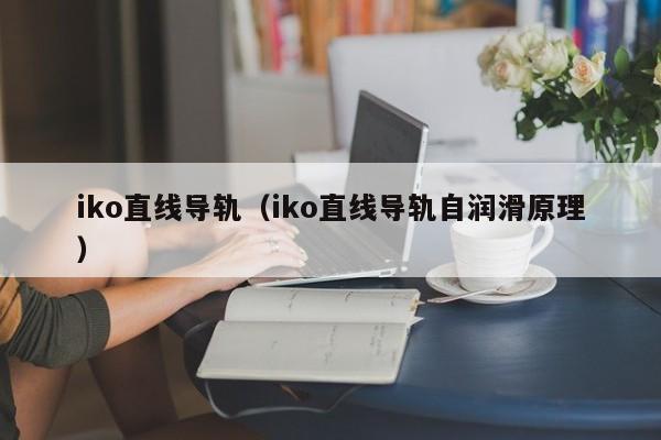 iko直线导轨（iko直线导轨自润滑原理）-第1张图片-立亚科技