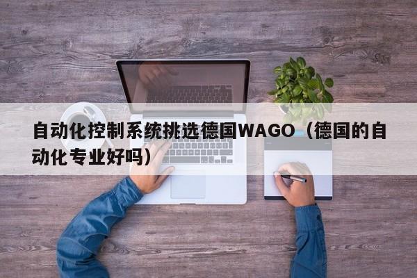 自动化控制系统挑选德国WAGO（德国的自动化专业好吗）-第1张图片-立亚科技