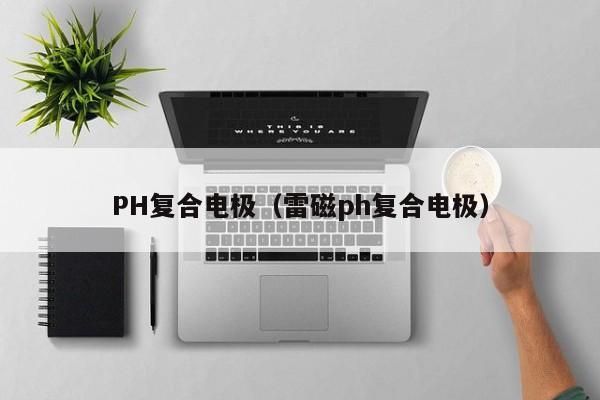 PH复合电极（雷磁ph复合电极）-第1张图片-立亚科技