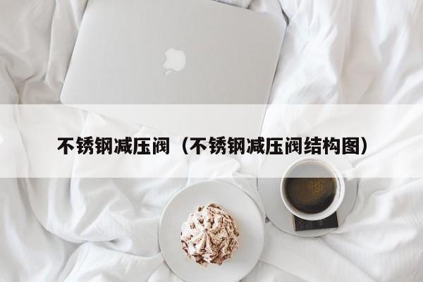 不锈钢减压阀（不锈钢减压阀结构图）-第1张图片-立亚科技