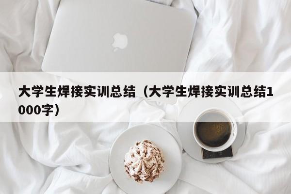 大学生焊接实训总结（大学生焊接实训总结1000字）-第1张图片-立亚科技