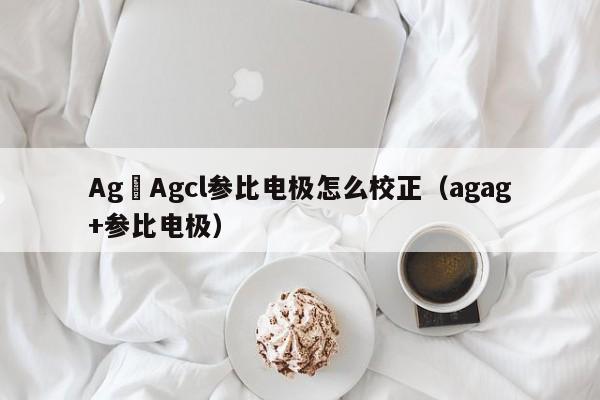 Ag–Agcl参比电极怎么校正（agag+参比电极）-第1张图片-立亚科技