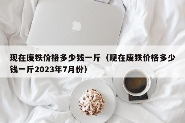 现在废铁价格多少钱一斤（现在废铁价格多少钱一斤2023年7月份）-第1张图片-立亚科技