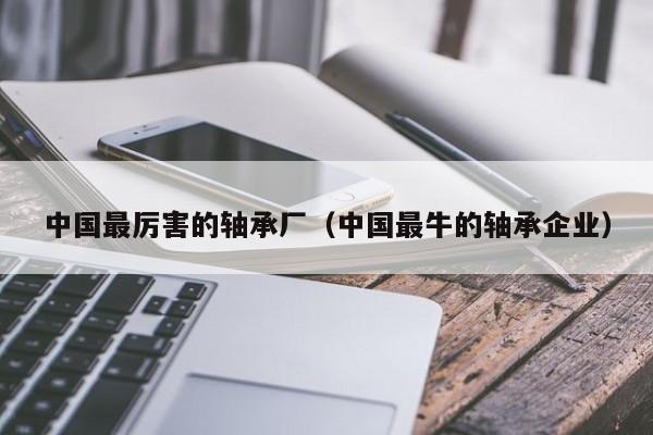 中国最厉害的轴承厂（中国最牛的轴承企业）-第1张图片-立亚科技