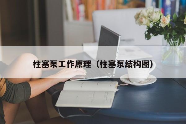 柱塞泵工作原理（柱塞泵结构图）-第1张图片-立亚科技