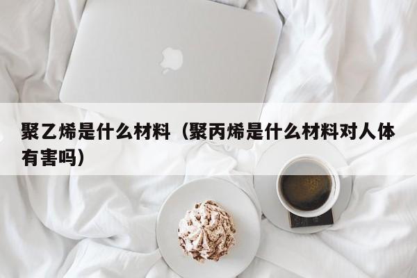 聚乙烯是什么材料（聚丙烯是什么材料对人体有害吗）-第1张图片-立亚科技